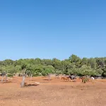 Finca Es Pi By Mallorca House Rent